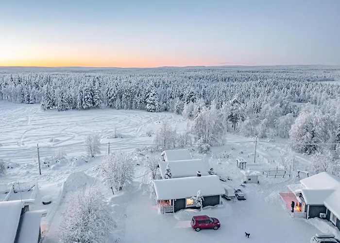 Levi Nietos 基蒂莱